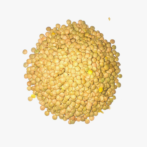 Lentilha Canadense a Granel - Oca Produtos a Granel